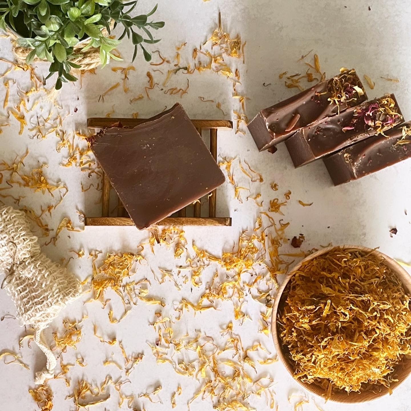 Cocoa Cashmere Soap